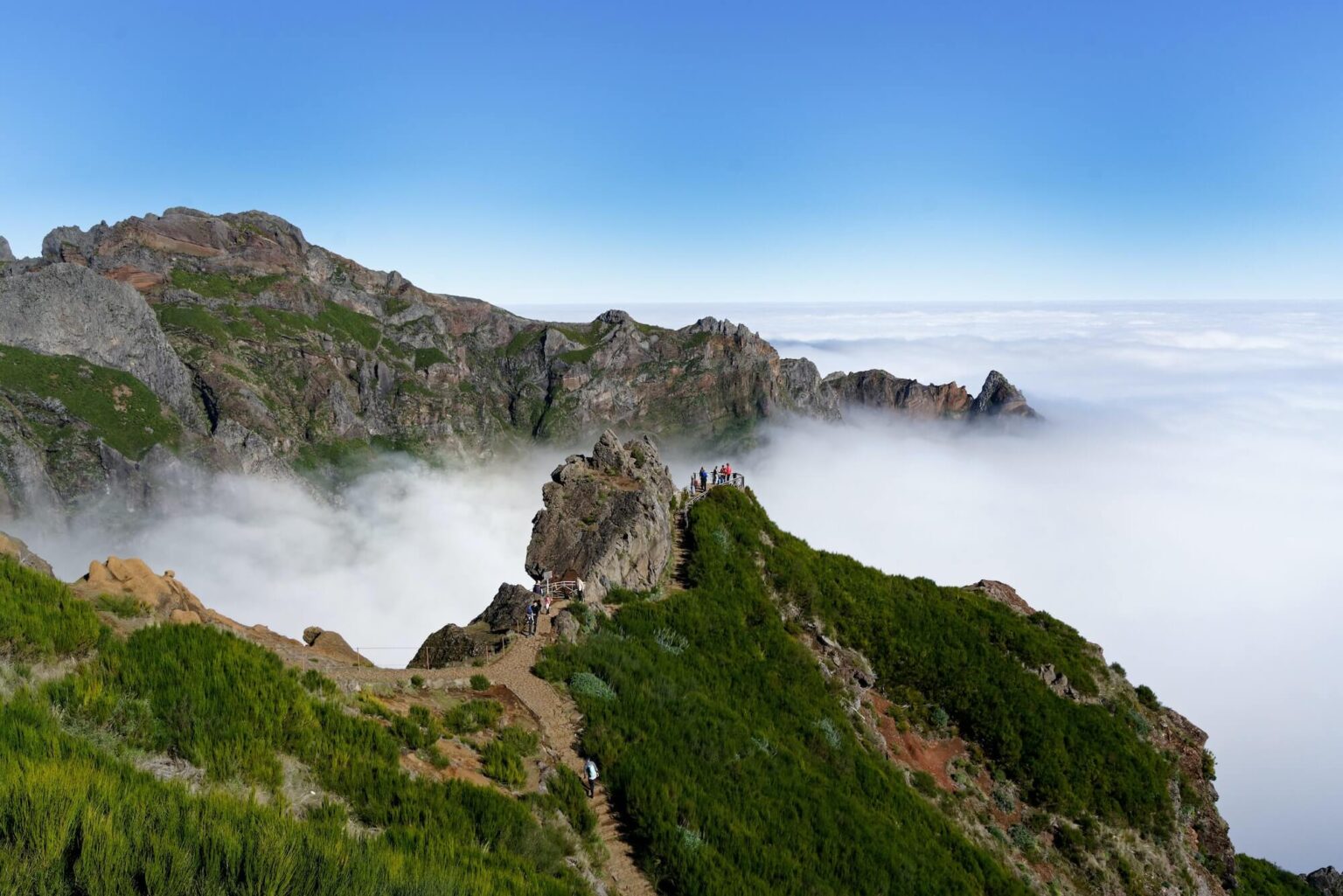 best time to visit madeira for flowers