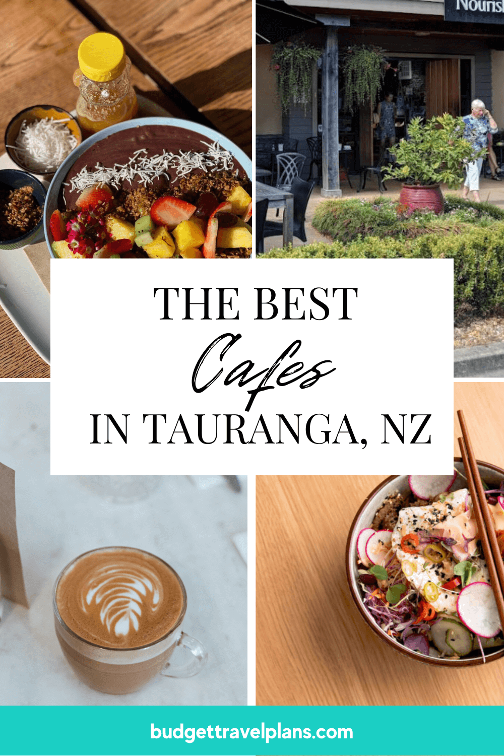 Best Cafes in Tauranga Our 12 Picks Budget Travel Plans